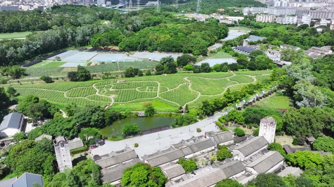 4K航拍深圳观澜版画基地14