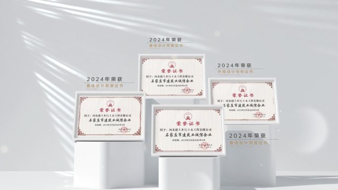 高端企业获奖荣誉证书展示