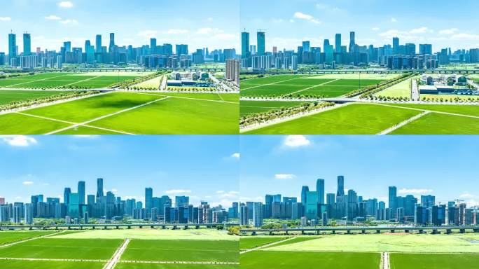 杭州市钱江世纪城麦田视角4k延时素材