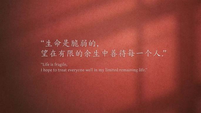 4K光影唯美文字语句摘录1