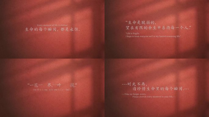 4K光影唯美文字语句摘录1