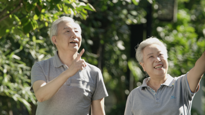 老人老年夫妇写毛笔字书法打太极康养夕阳红