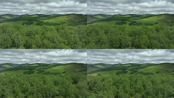 阿尔山森林航拍原始素材