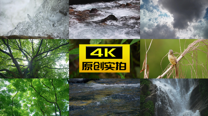 森林阳光空气水小溪大自然自然树叶树林森林