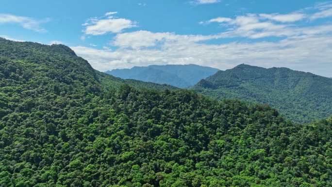 广西桂平国家龙潭公园原始森林