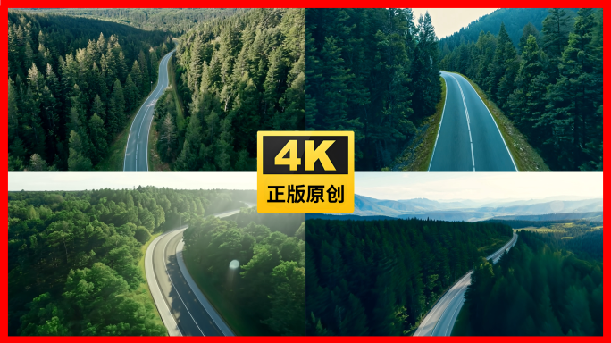 蜿蜒的山路森林中行驶在一条公路上