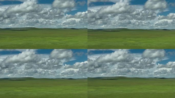 呼伦贝尔草原野花航拍原素材