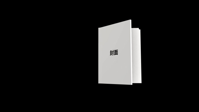 透明的飞入的书本翻页展示