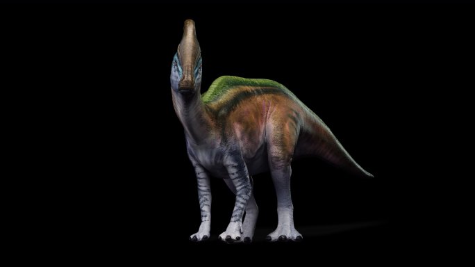 恐龙 3d 古生物 恐龙时代 侏罗纪