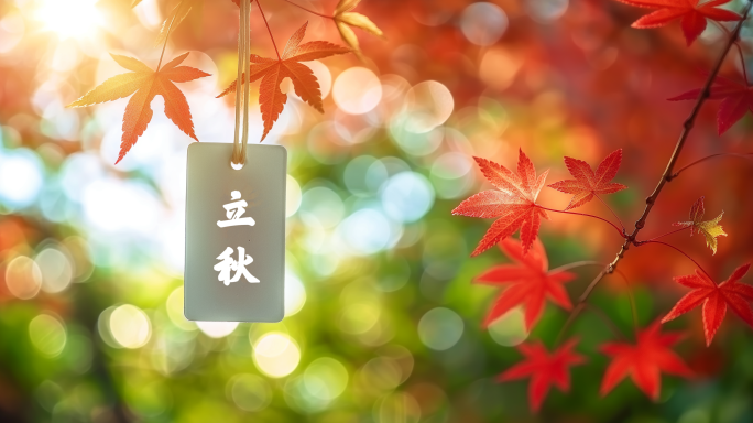 立秋秋天落叶枫叶银杏
