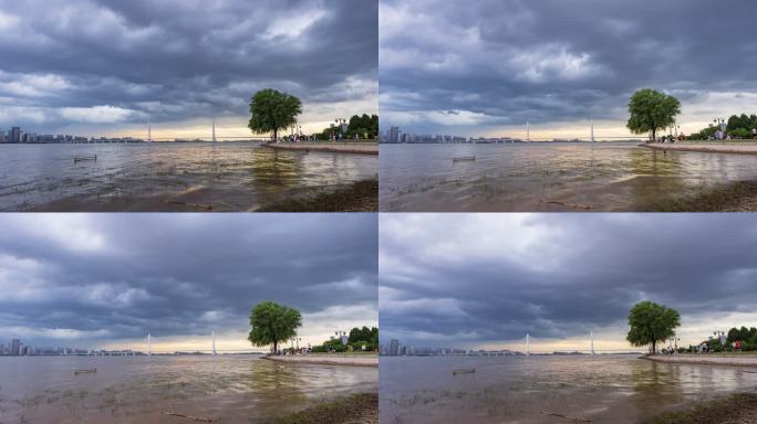 延时8k武昌青山江滩孤独的树日景云海