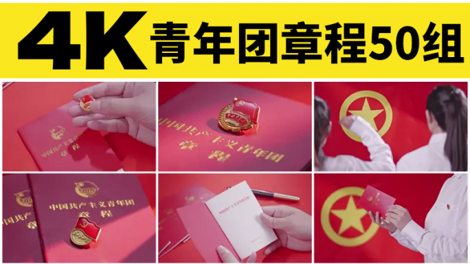 中国共产主义青年团章程共青团入团宣誓团徽