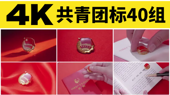 中国共青团标团徽团员入团学习宣誓团支部