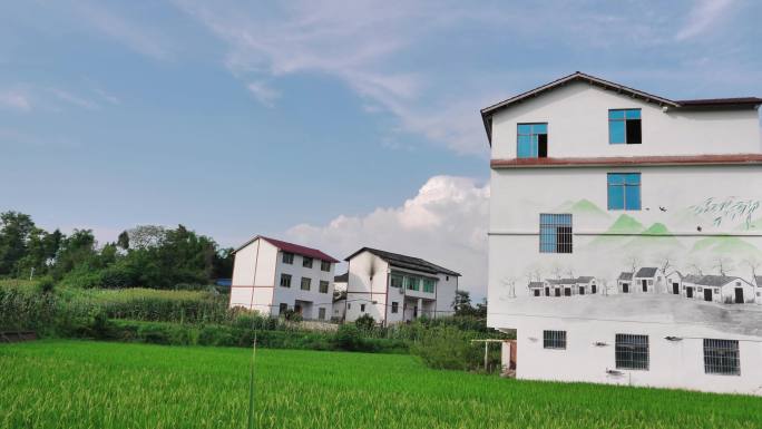 乡村振兴