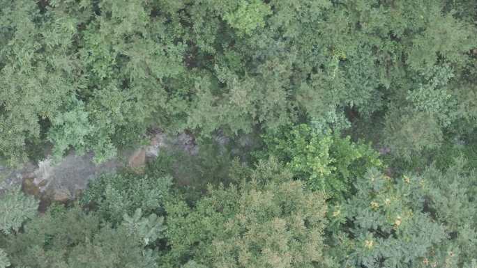 航拍烟台牟平昆嵛山岳姑殿景区夏季雨后山水