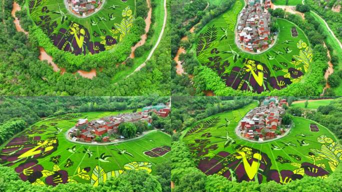 4K高清航拍云南河湾村彩色稻田