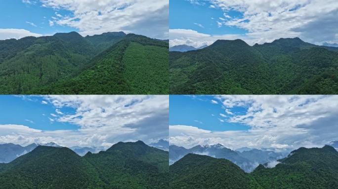 广西桂平国家龙潭公园原始森林