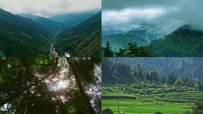 4K森林大自然风光风景山水山川