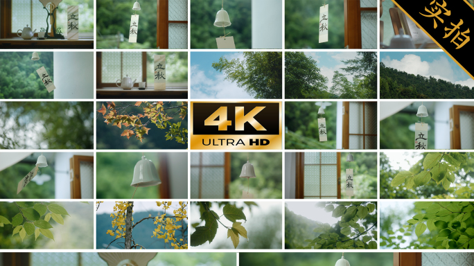 【4k立秋节气】秋天节气唯美风景视频素材