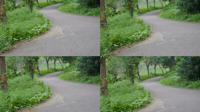 4K升格实拍，广州绿树成荫绿草旁羊肠小路
