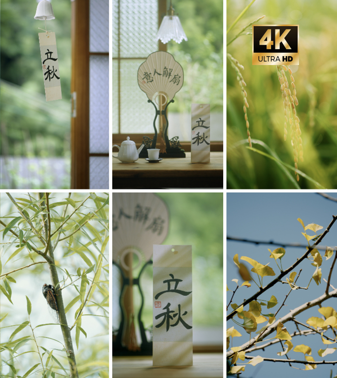 【4k立秋竖屏】秋天节气唯美风景视频素材