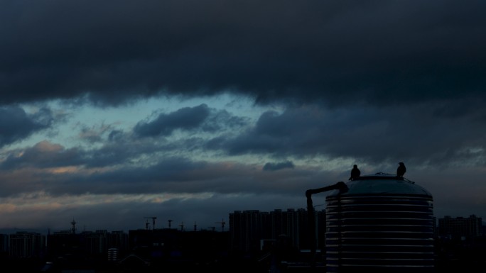 深夜天空在乌云笼罩下的一群乌鸦特写剪影