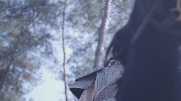 将士骑马打仗