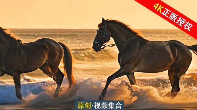 马   马踏水花万马奔腾骏马积极向上