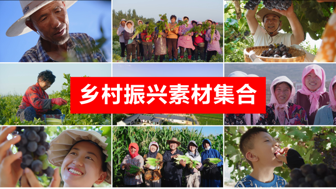 乡村振兴农民丰收民生幸福美好农民劳作采摘