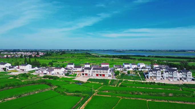 5K平原美丽乡村 美丽村庄 新农村