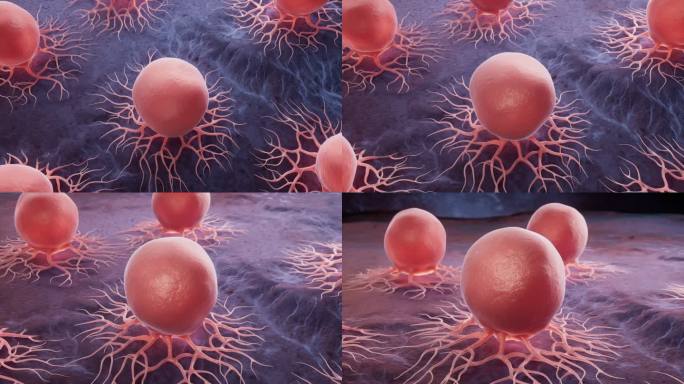 癌细胞与生物医学三维渲染