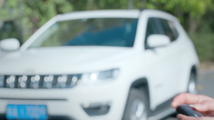 情侣购车开车