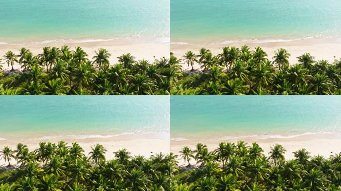 航拍美丽海边椰林文昌东郊椰林