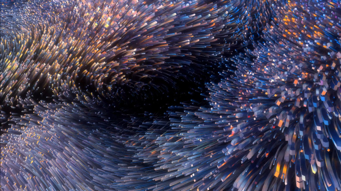 彩色波浪24081503