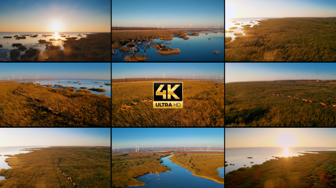 4k航拍夕阳下的大丰麋鹿湿地公园生态湿地