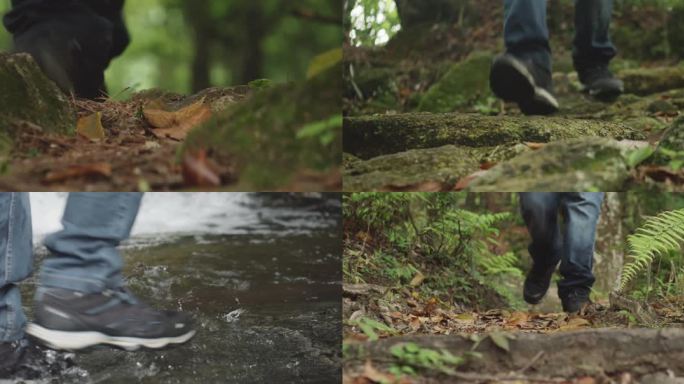 树林森林丛林小路脚步步伐行走走路探险探索