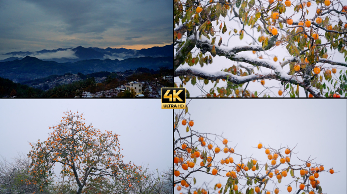4k群山日落延时山村下雪柿子树落雪