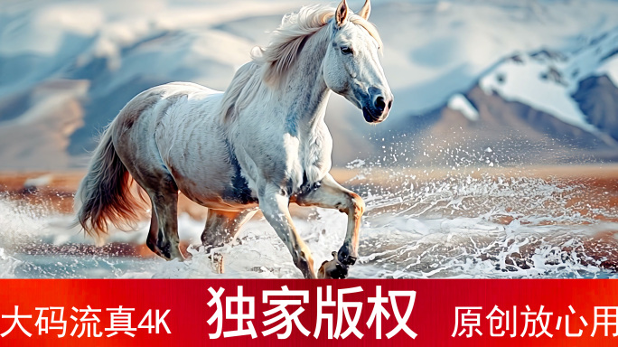 无惧风雪 骏马在雪山奔跑