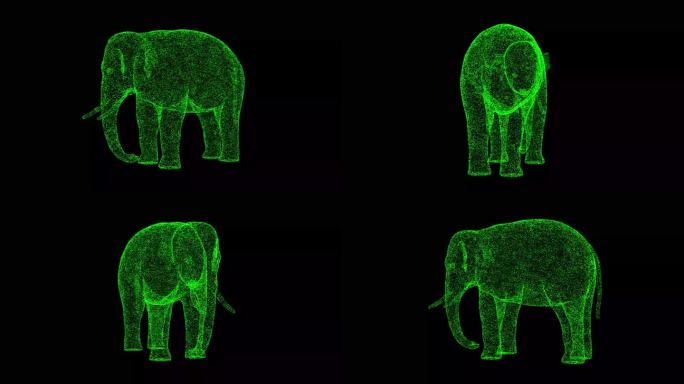 3D大象在黑色背景上旋转。野生动物概念。马戏团和动物园。商业广告背景。用于标题，文本，演示。3d动画