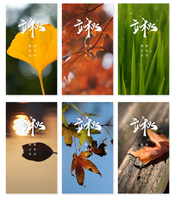 立秋秋分二十四节气AE模板