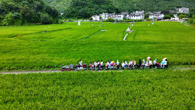 航拍景区观光小火车穿越绿色稻田唯美风景