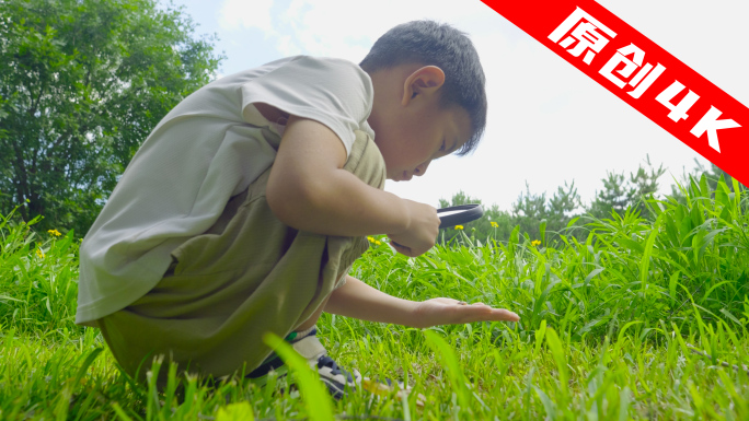 小男孩手拿放大镜在花丛中观察