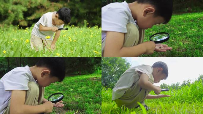 小男孩手拿放大镜在花丛中观察