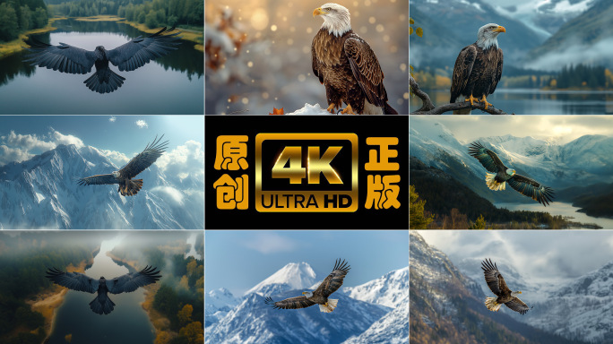 猎鹰在雪山湖泊中飞翔