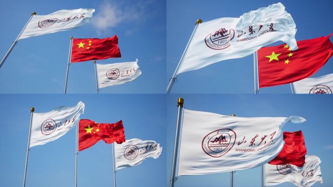 4K山东大学旗帜