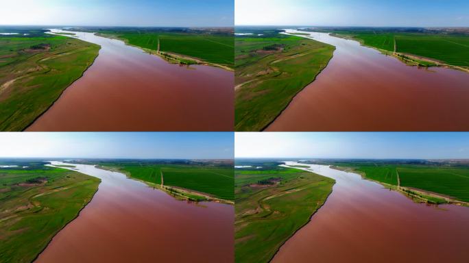 宁夏银川黄河麦田