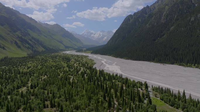 航拍夏塔雪山森林公园