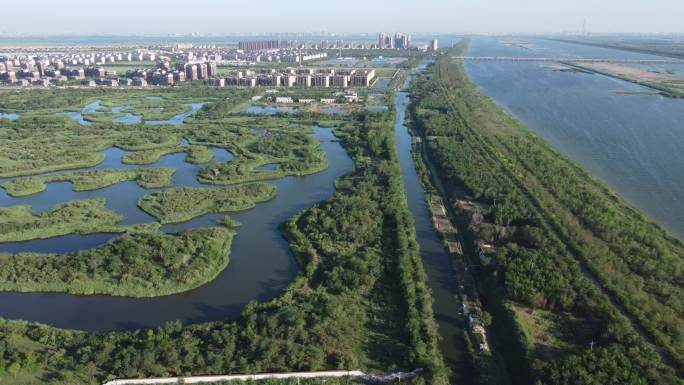 天津市静海区独流减河团泊湿地航拍