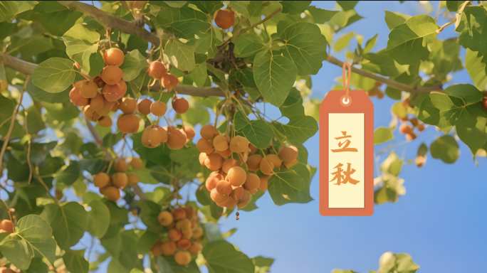 立秋初秋唯美风光 金色秋天树木花朵