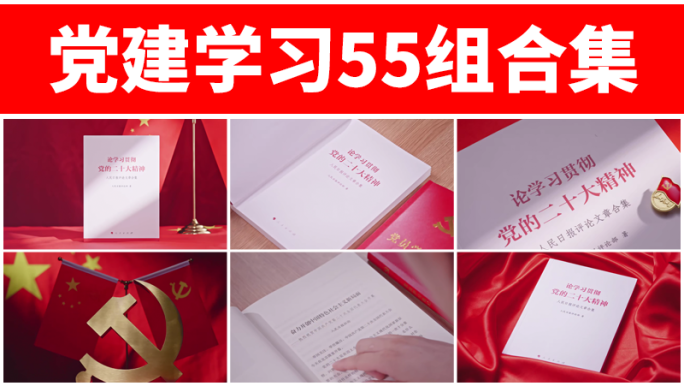 党的二十大精神党建党政会议